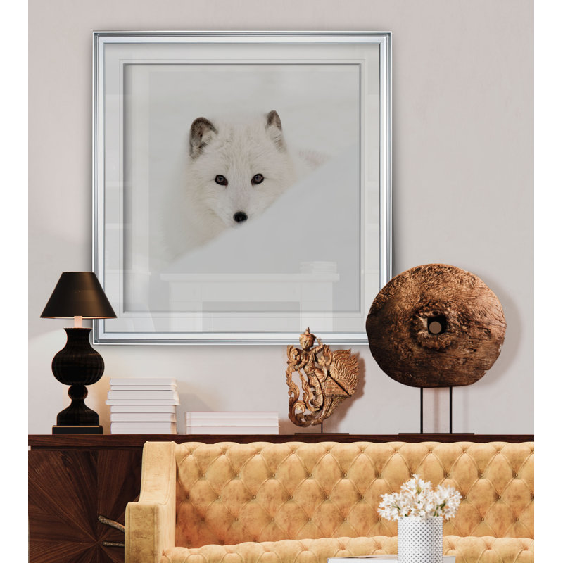 «Arctic Fox», reproduction de photo, H 17,5 po x l 17,5 po x P 1,5 po, Cadre argenté