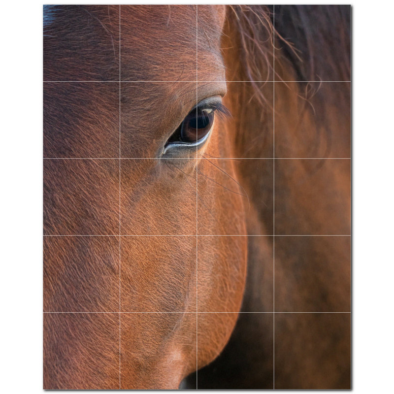 Murale en céramique satinée Horse Photo 8 po x 8 po