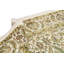Chantel Oriental Area Rug in Ivory