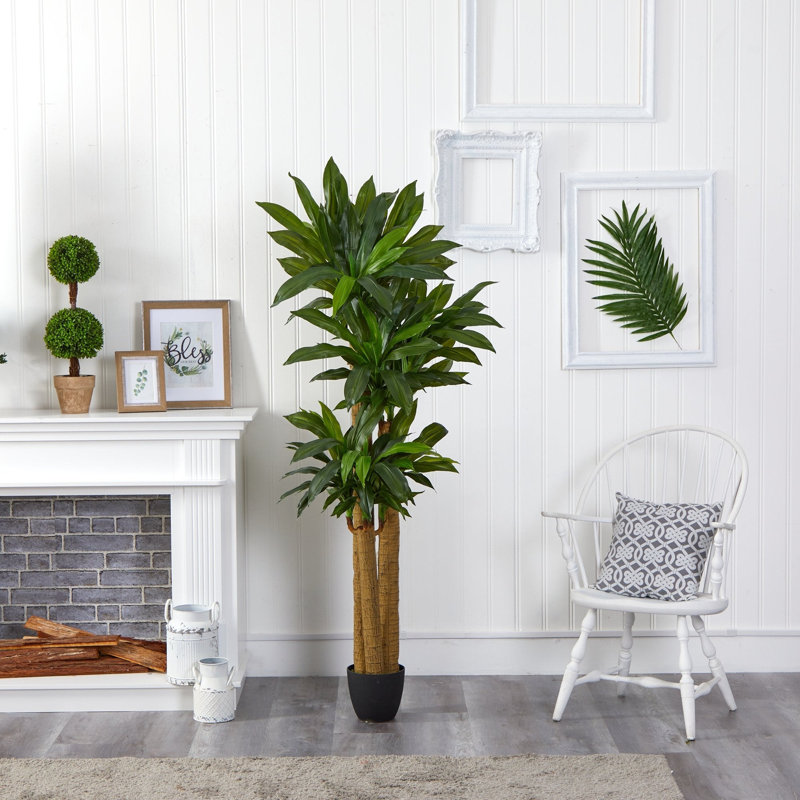 Corn Stalk Dracaena Artificial Plant with Real Touch Leaves