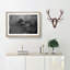 Elephant - Picture Frame Graphic Art Print-55725309-55725313