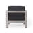 Mcnemar Aluminum Outdoor Lounge Chair-1107347483