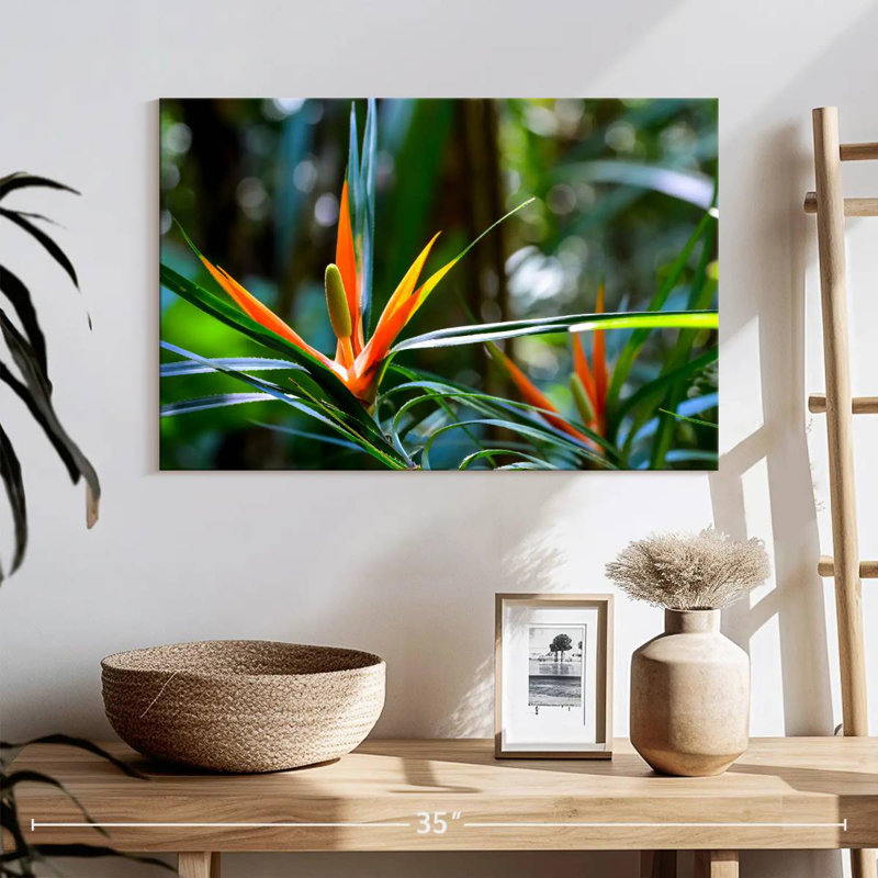 Harnek, oiseaux tropicaux du paradis, H 8 po x l 12 po