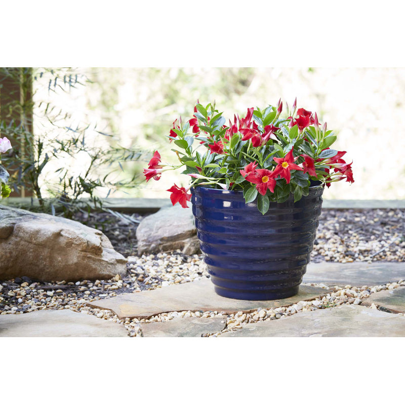 Navy Beehive-Style 16'' Resin Outdoor Planter