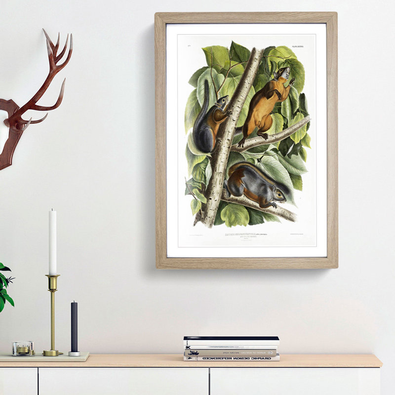 Red-Bellied Squirrels by J.W. Audubon - Picture Frame Painting Print, 65cm H x 48cm W x 2cm D, Oak Framed