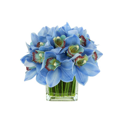 Orchidée Lehn dans un vase en verre