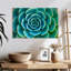 «Live Succulent», reproduction sur toile-92279625