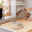 Ebian Food Storage Container