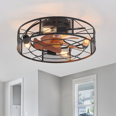 Haoyu 18.9'' Ceiling Fan with Light Kit