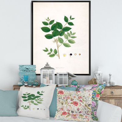 Vintage Botanicals VI - peinture sur toile