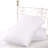 Bed Pillows for Sleeping Down and Feather 100% Premium Bed Pillow 2 Pack-21302022