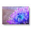 Lilac And Blue Chrysanthemum - Wrapped Canvas-56634610