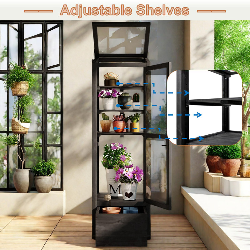 Black Fir Wood Garden Greenhouse with Adjustable Shelves and Storage Box