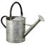 Arrosoir de jardin antique 16 "Chrisie