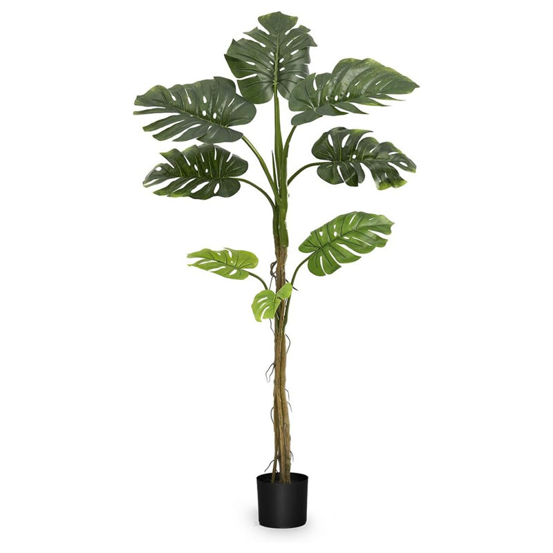 East Urban Home Artificial Monstera Plant 5 Feet Tall Tropical Palm Tree, 62 inches
