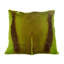 Springbok Accent Pillow by Outpost Original-1811030738-1811030749