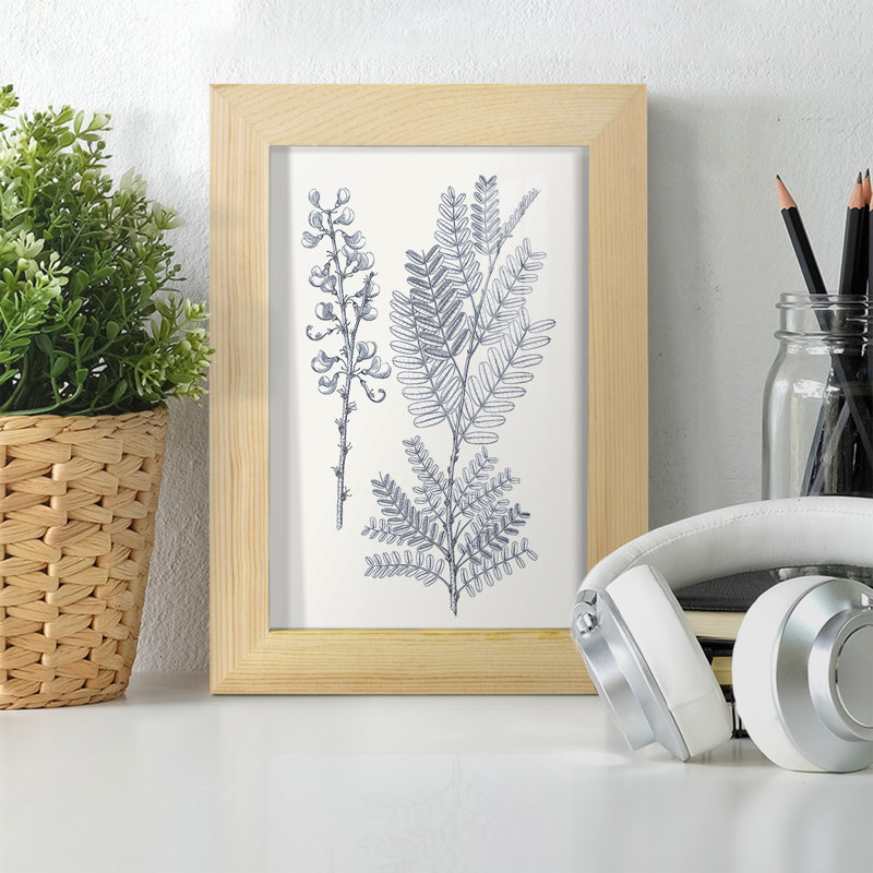 Indigo Botany Study VII, reproduction, H 6 po x l 4 po x P 1 po, Naturel
