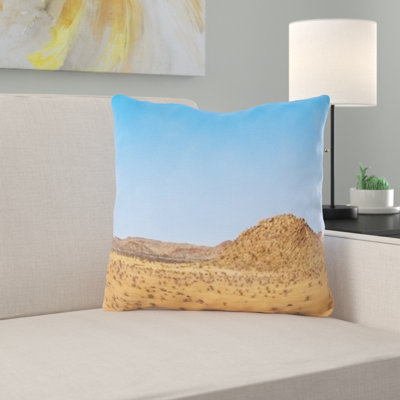 Coussin en afrique