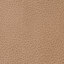 Buckskin
