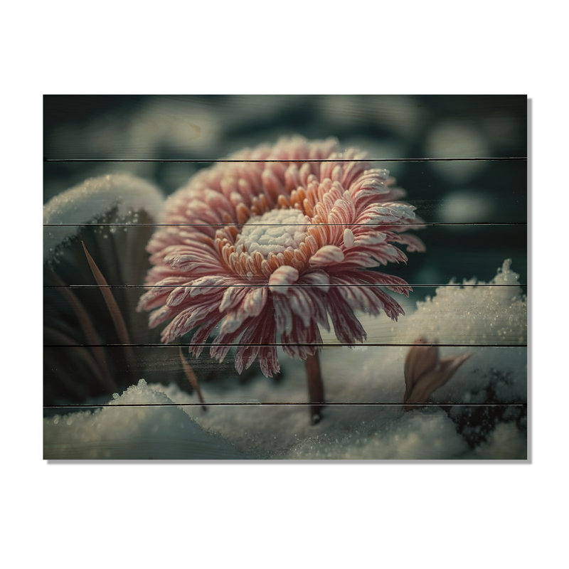 Une fleur de gerbera rose en hiver I - Impression sur toile, H 34 po x l 44 po x P 1,5 po, Bois