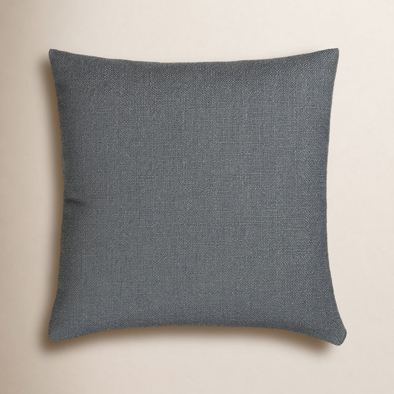 Coussin Birch Lane Coolidge, Plumes, Bleu, Carré 20 po