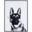 Berger allemand - cadre photo, impression sur verre