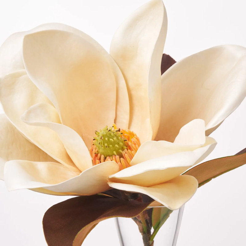 Magnolia Arrangement in Vase