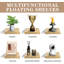 Tablettes flottantes Sorbus - Décoration de tablettes murales suspendues - Présentoir de trophées parfait, cadres photo (bois d'érable)-819049616