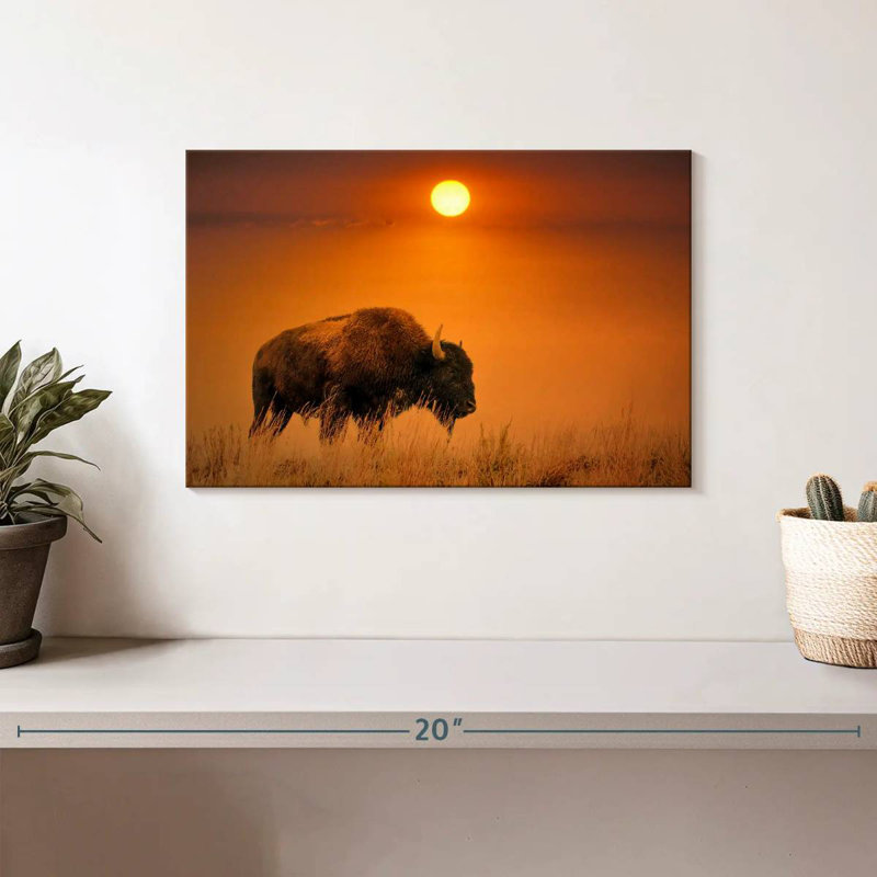 Lever de soleil bison Brampt, H 8 po x l 12 po