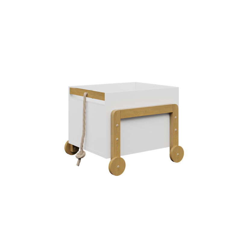 Camdyn Toy Box
