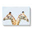 Giraffes Looking Both Ways In Abstract - Wrapped Canvas Print-55311640