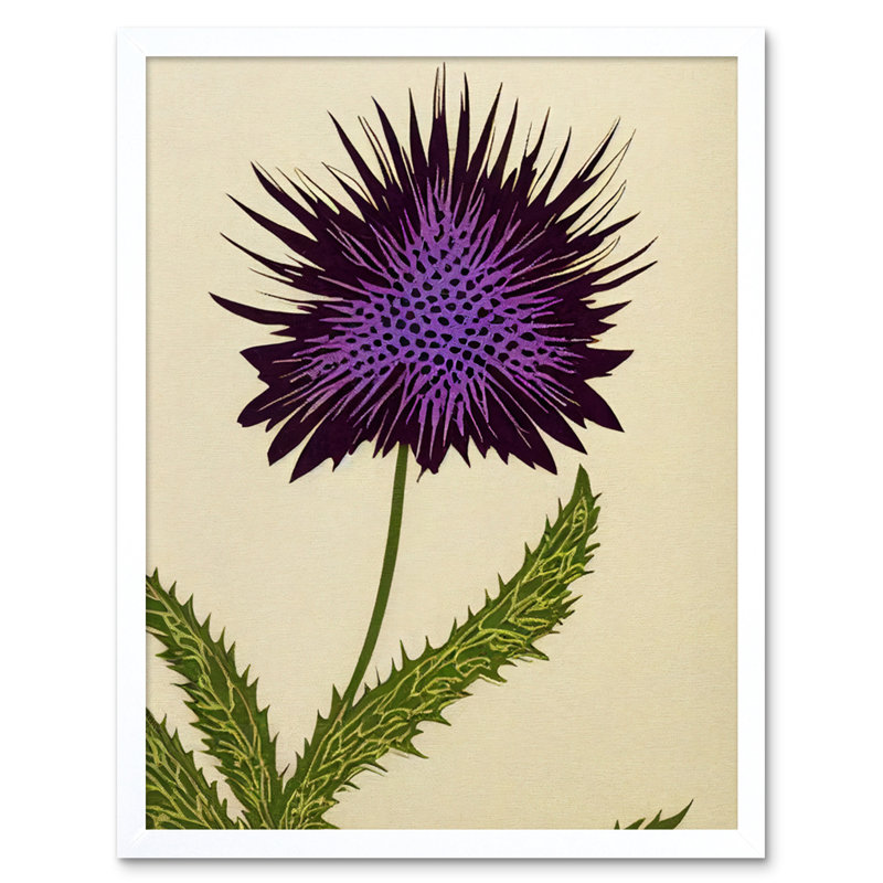 Stylized Modern Scottish Thistle Flower - Print, White Framed Paper, 25.9cm H x 20.6cm W x 1.5cm D