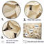 Éclat de poinsettia beige sur toile-664041904-664041914
