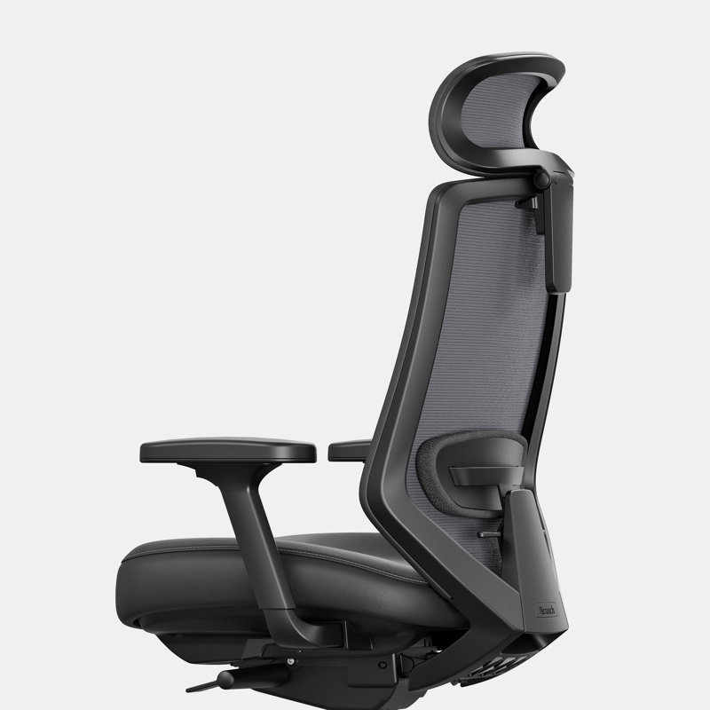 Ergonomic Chair Pro, Black, Black