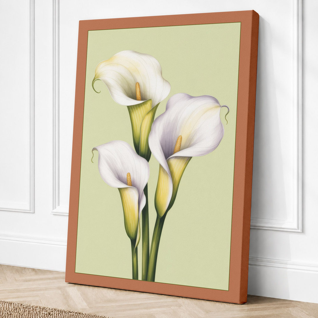 Three Calla Lilies Botanical - Wrapped Canvas