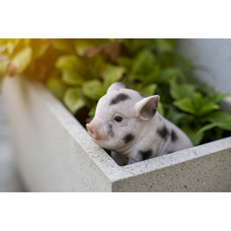 Statue porc de bébé assis, Taches noires