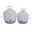 Ensemble de vases gris Cole and Gray-1533872025