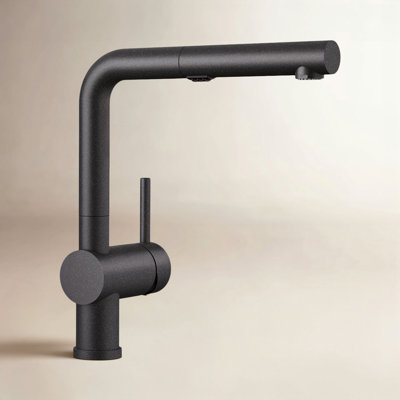 Linus Low Arc Pull-Out Kitchen Faucet