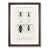 Walnut Framed selected