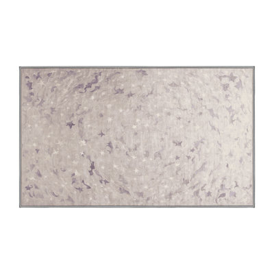 Machine Washable Gray Area Rug