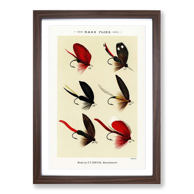 Bass Fishing Flies Versions 3 by Mary Orvis Marbury - Picture Frame Painting Print, Walnut Framed, 87cm H x 62cm W x 2cm D