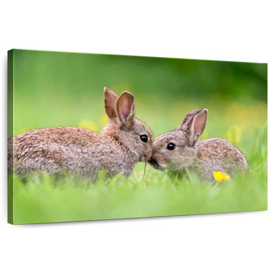 Brampt embrassant des lapins