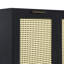 Craven 2-door Cane Cabinet