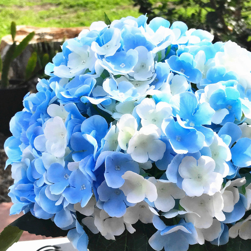 Tiges d'hortensia en soie artificielle, Bleu / Crème