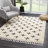 Adeewa Shaggy Performance Beige & Black Tasseled Area Rug-1208772334