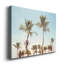 Aruba Palm - photographie sur toile tendue-879411902