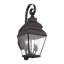 Lanterne murale d'extérieur à 2 ampoules H 21,5 po Anousha-593684227