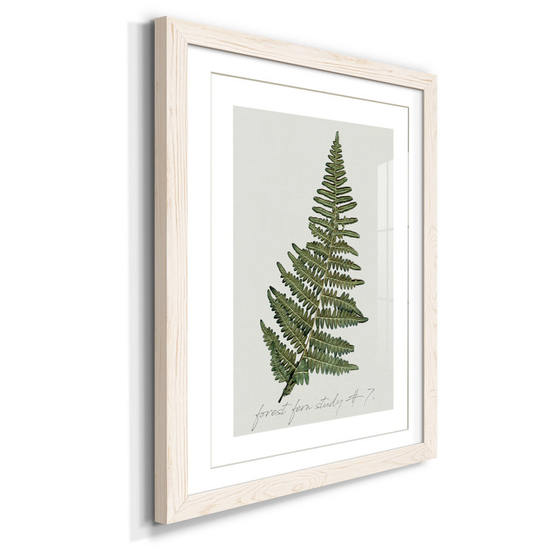 Zen Succulent I - Peinture encadrée sur papier, H 31,5 po x l 23,5 po x P 1,5 po, Blanc