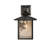 Rustic Lodge Solid Brass Armed Sconce