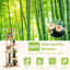 Support pour plante Jonestown